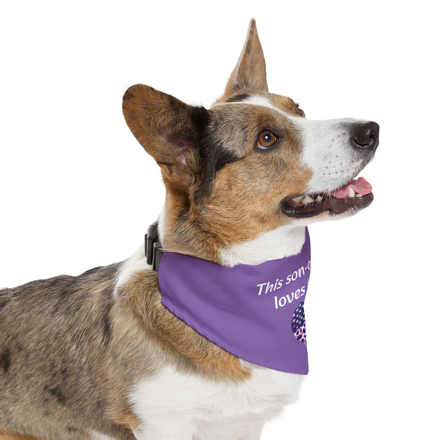 Pet Bandana Collar - Good Boy Loves Kamala